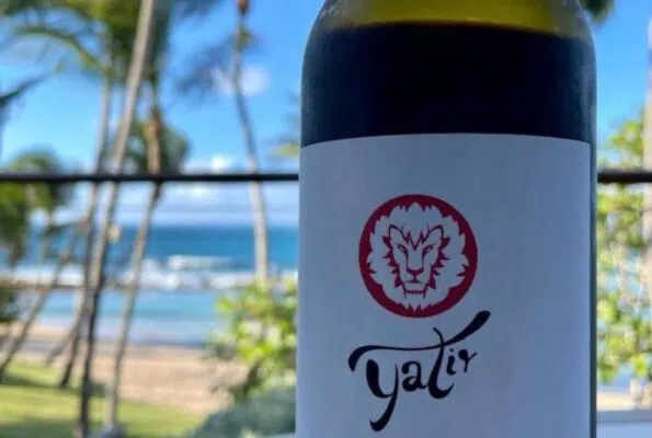 בקבוק יין עם מדבקה של יקב יתיר בחוף הים
